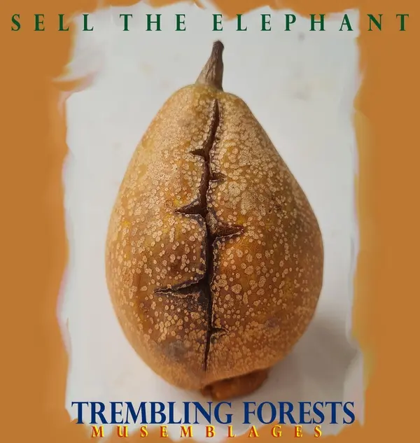 Trembling Forests (Digital)