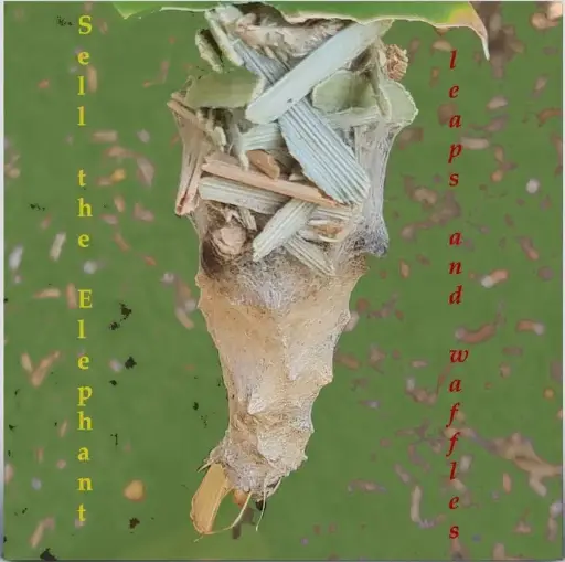 Leaps and Waffles (Digital)